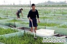 <b>������ֳ��������Ҫ��</b>