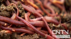 <b>[�¸���]˶ʿ��ҵ���������</b>