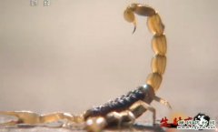 <b>[�����е�]תҵ���˴���־��Ы��׬ǧ��</b>