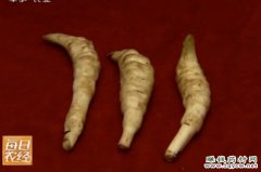 <b>[ÿ��ũ��]��ֲ�ز�һĶ��׬����Ԫ</b>