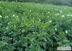 <b>���������༰���ռӹ�����</b>