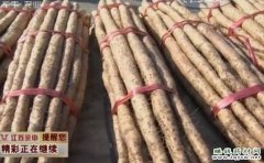 <b>[ÿ��ũ��]С����ɽҩ��С���ʹ�</b>