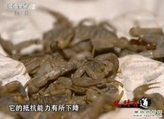 <b>[�����е���Ы]��Ы������ֳȫЫ�ĲƸ�����</b>