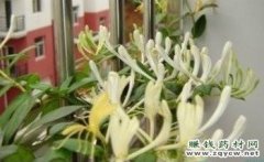 <b>���ļ��������࿪��������</b>