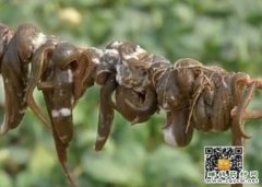 <b>[�Ƽ�Է]��ˮ�θ߲������� �ò�����һ��</b>