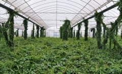 <b>�������������༼��Ҫ��</b>