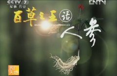 <b>[ũ�����]�ٲ�֮��:�˲����</b>