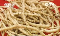 �زε���ֲ������Ƶ:�ز���������ֲ�ģ�