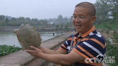 �Ĵ�����ȫ������ʮ�겻׬Ǯһ��Ӯ�Ȼ�