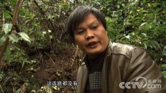 <b>[�¸���]����������ѧ����ֲ��������׬ǧ��</b>