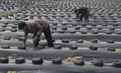 <b>��������ֲ��������¸�·һĶ��������ǧԪ</b>