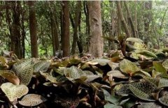 �������ֽ�����Ķ׬20000Ԫ