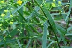 �紺��������༼��