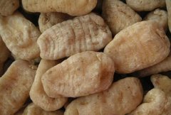 ��ֲ����׬Ǯ��������ֲЧ���