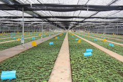 <b>��������ʱ��������?</b>