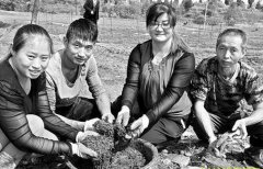 �������׬Ǯ��������ϴ���С����ֳ�������18��