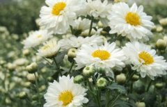 <b>�ܱ���Ӱ�� �Ƿ��ú��׾���ֲ���ֻ����?</b>