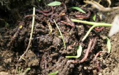 �������������������������� ����10����