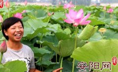 ���ϰ����߿���Ѻ�����ɾ۱��� ��ź��Ѽ������������ʮ��