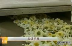 ���׾ղ�ժ�����׾ղ�ļӹ�������Ƶ