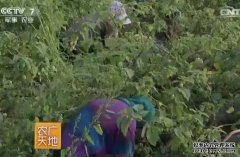 [ũ�����]ë�Ὤ�����༼����Ƶ