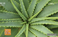 [ũ�����]����������«���������༼����Ƶ