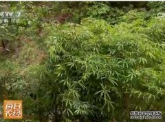 [ÿ��ũ��]��ɽ��ġ���ݡ�׬Ǯ��