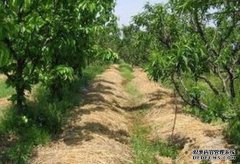 ֣�쳿:��������򾡰һ�����á�