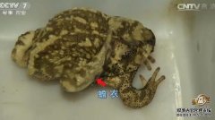 [�¸���]���������׬Ǯ��