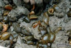 ¬������1Ķ�ص�ˮ��������60Ķ��ˮ���ļ�Ǯ