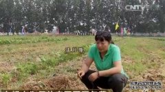 [�¸���]Ů��ʿ����ƼΪ�η�����������н�����