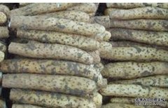 ��һ������12�飢���Ϲ�ɽ��ɽҩ���ˡ��¸�ҩ��