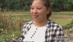 [�¸���]����Ů��ħ�����߲Ƹ�