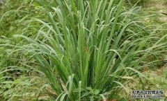 ��������������ɽ������ġ��¸��ݡ���ҡǮ����