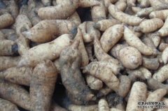 ���鸯�ò��ķ���