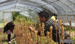 �����˹��ڷ��н���