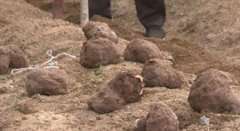 ������ˮկ��ũ������������������뷭10��