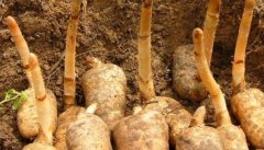 �����������飺��������ע���⼸��