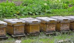 �����۷���ֳ ���䲻��һ������