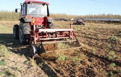 <b>���ε���ֲʱ��</b>