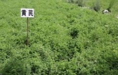 <b>������ֲһĶ�صĳɱ�����</b>