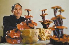 ��֥�辰��ֲǰ���� ��־�㴴���ַ��ؿ���֥��·