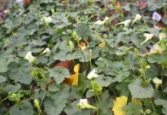 �컨�۸߲����༼��