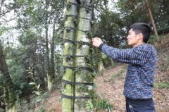 <b>ʯ����ô�ֵ�����?ʯ��������һ�㲻��</b>