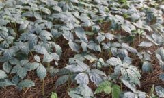 �������������ּ���Ҫע��ʲô��