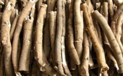 ��Ƥ��ֲ�ʺ�ʲô�����������֣�