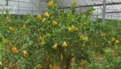 [�Ƽ�Է]�㽭���Ž����ַ��ֵ��ĸ�����