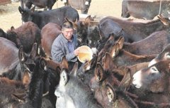 ����¿�¸�������10����