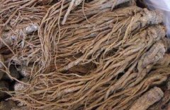 ������ֲ׬Ǯ��?�ຣ�������嵱���¸�һĶ��׬8000Ԫ