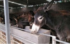 2017����¿׬Ǯ��?ũ��������¿��׬Ǯ��